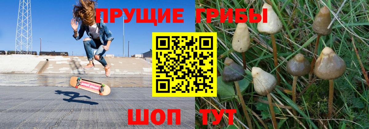 Галлюциногенные грибы ЛСД  Вход с VPN  Кострома 