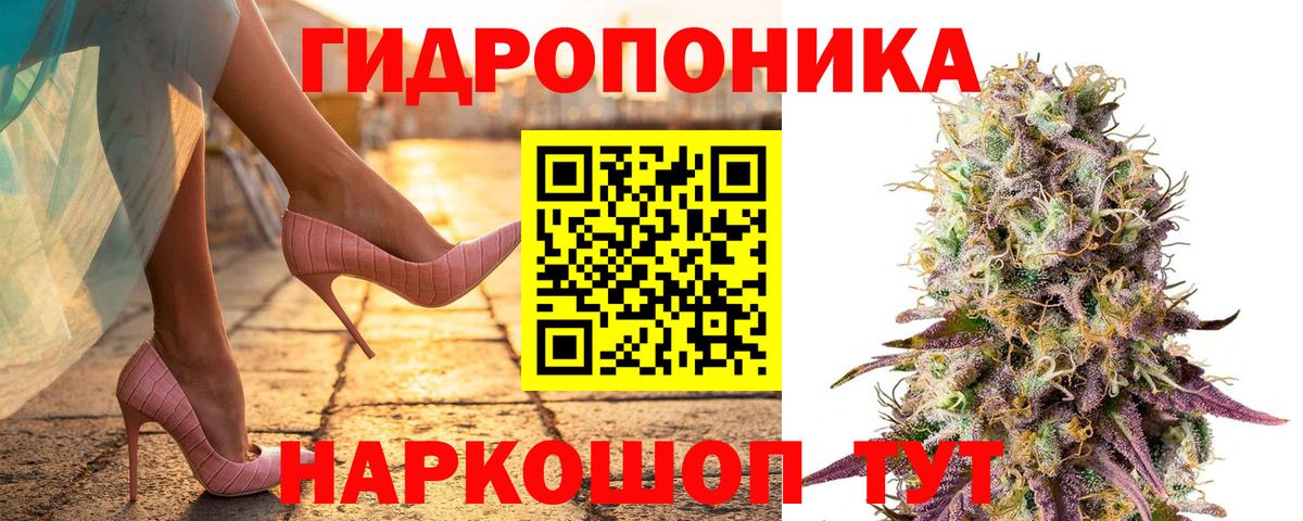 Конопля марихуана  Вход с VPN  МАРИХУАНА OG Kush  Кострома  Канабис White Widow 